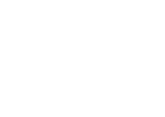 alpha-tur